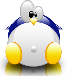 penguin pingouin pinguino 262